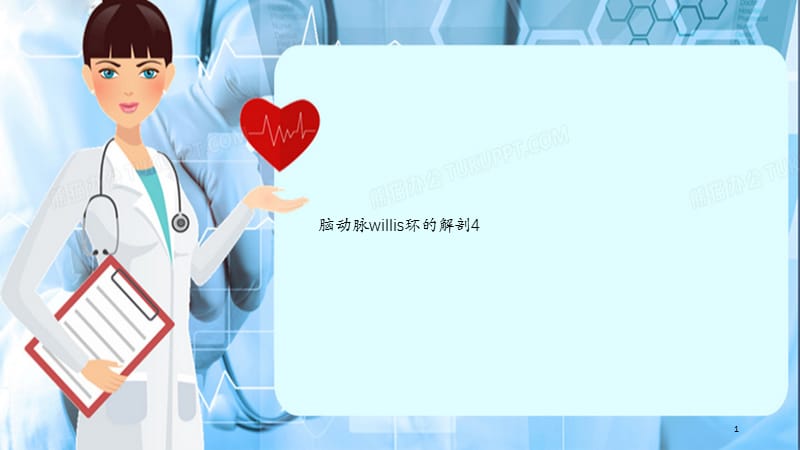 脑动脉willis环的解剖4（干货分享）.ppt_第1页