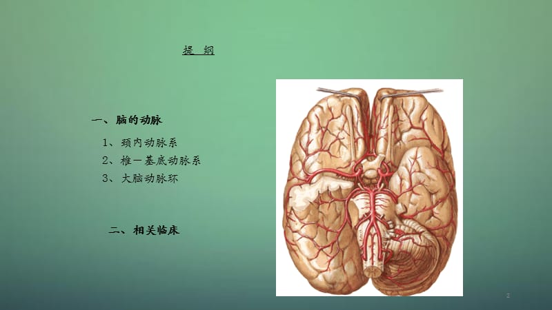 脑动脉willis环的解剖4（干货分享）.ppt_第2页