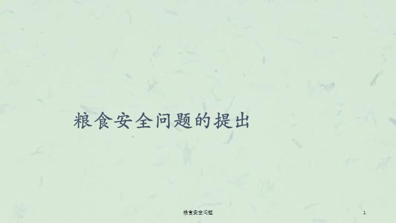 粮食安全问题课件.ppt_第1页