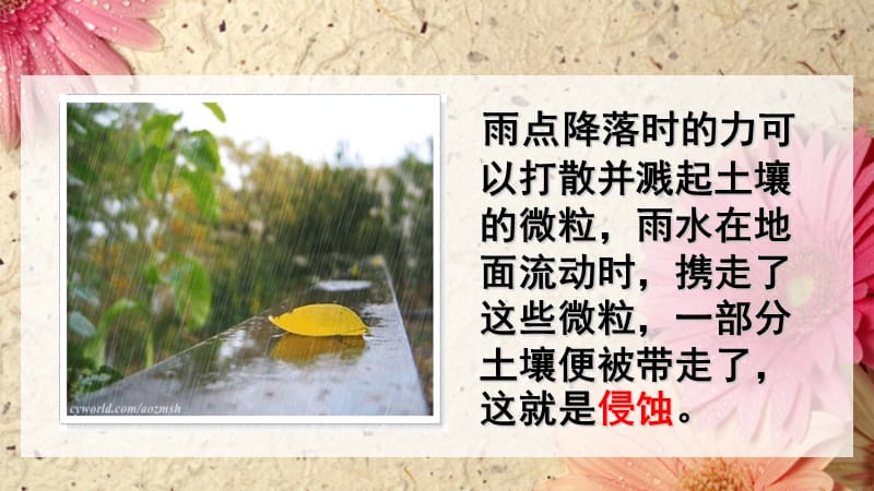 5.雨水对土地的侵蚀课件.ppt_第3页