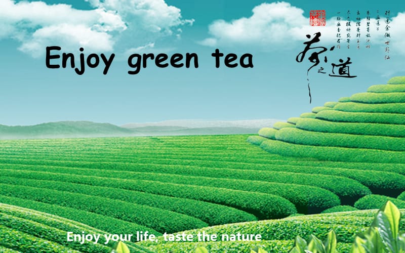 Enjoy绿茶营销策划方案.ppt_第1页
