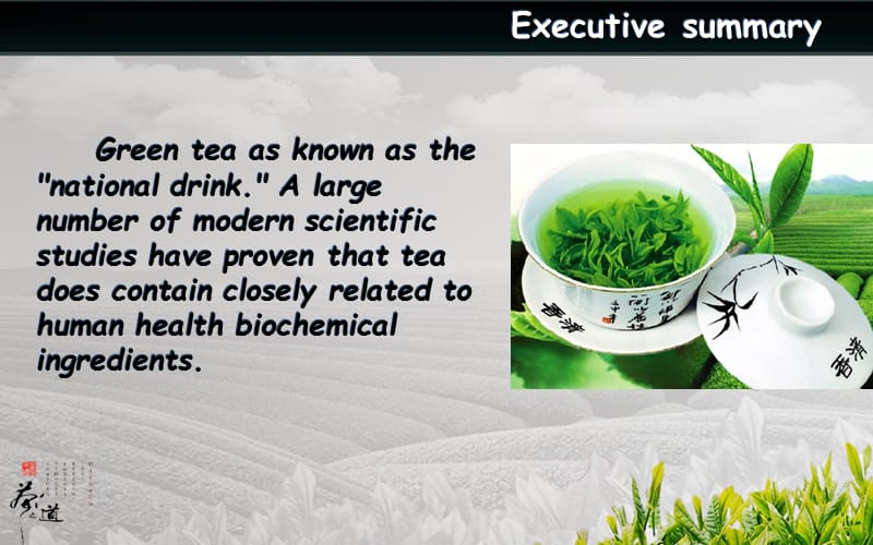 Enjoy绿茶营销策划方案.ppt_第3页