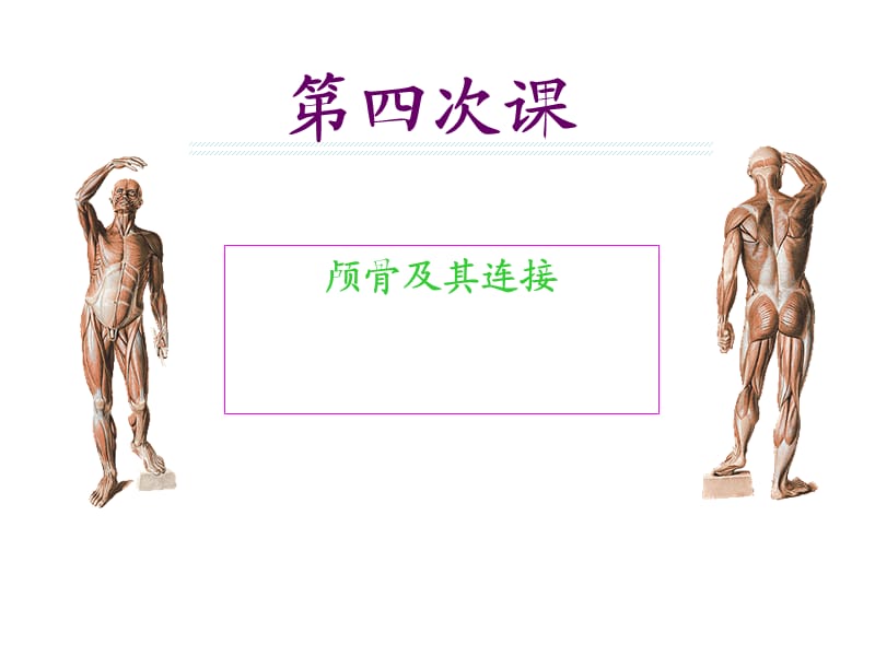 第四次课颅骨及其连接.ppt_第1页