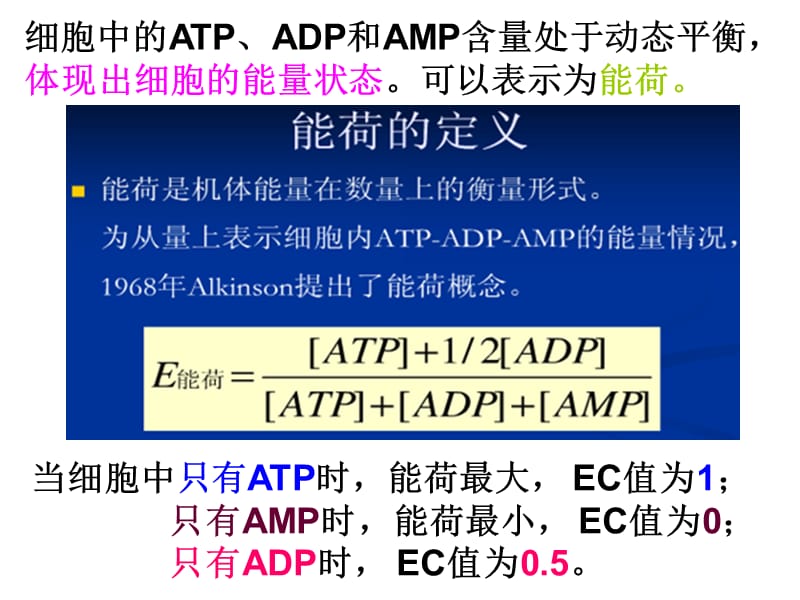 能荷调节.ppt_第3页