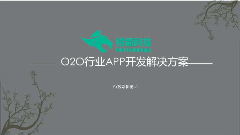 O2O行业app开发解决方案-深圳锐氪课件.ppt_第1页