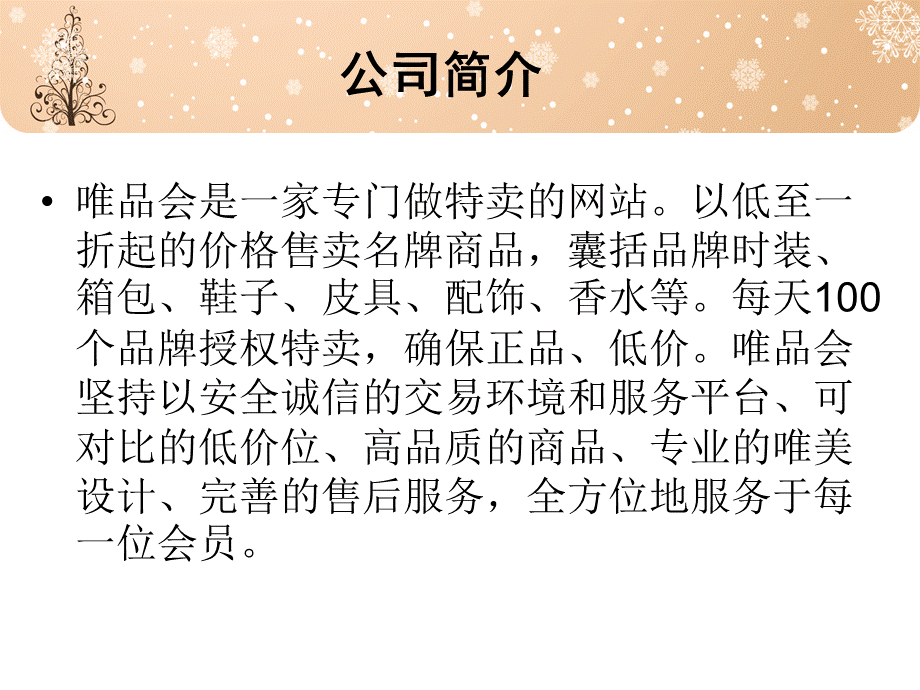 唯品会(电子商务方面的PPT).ppt_第3页