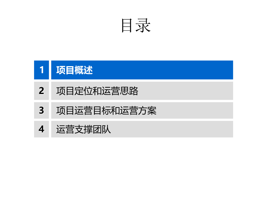 电子渠道项目年度运营思路.ppt_第2页