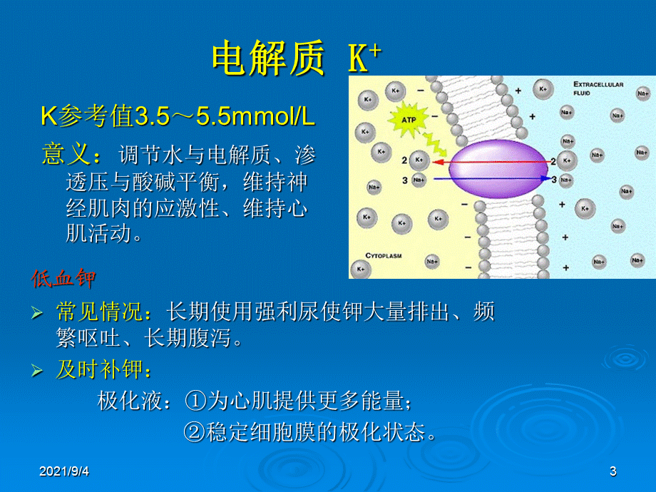 心内科常见检查及其意义.ppt_第3页