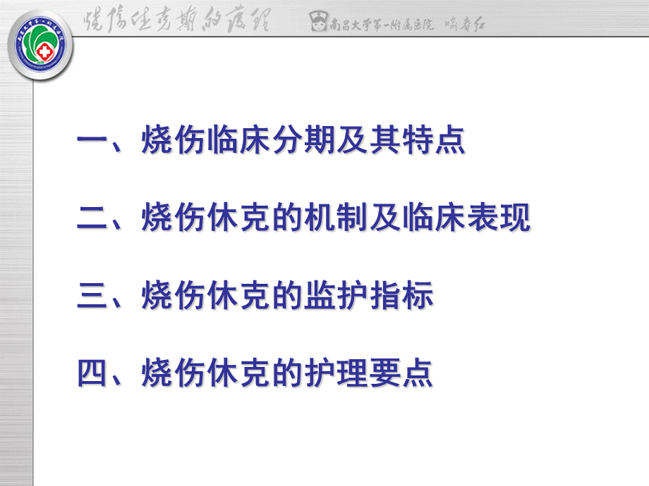 烧伤休克期的护理.ppt.ppt_第2页