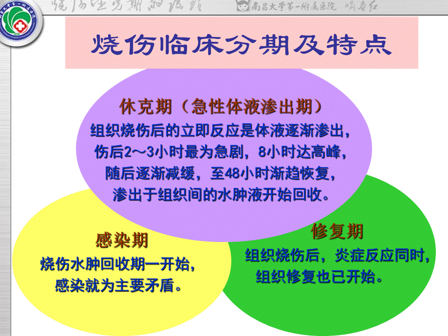 烧伤休克期的护理.ppt.ppt_第3页