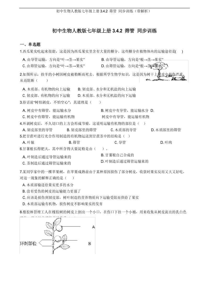 初中生物人教版七年级上册3.4.2 筛管 同步训练(带解析).docx_第1页