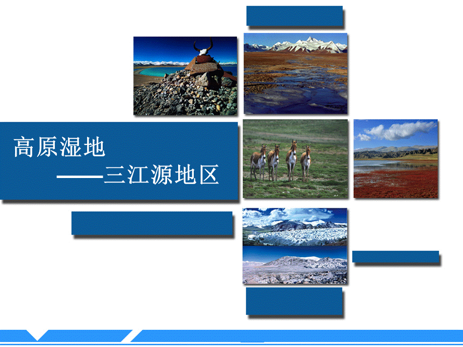 第二节高原湿地——三江源地区.ppt_第2页