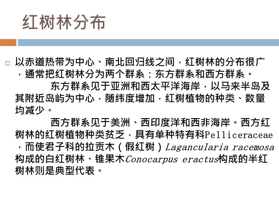 森林环境学之红树林.ppt_第3页