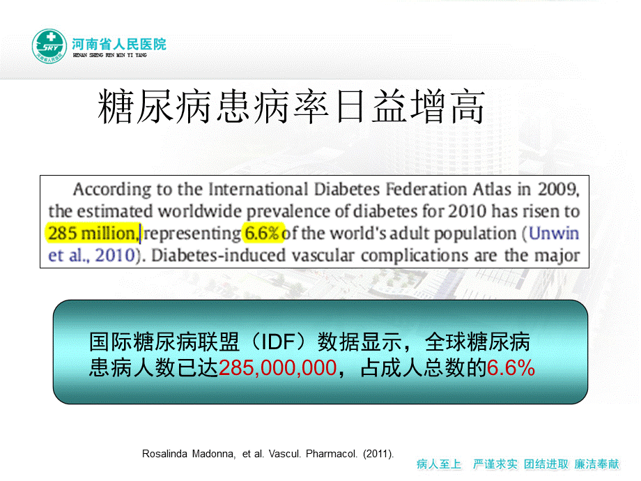 糖尿病微血管病变——李全忠精要.ppt_第3页