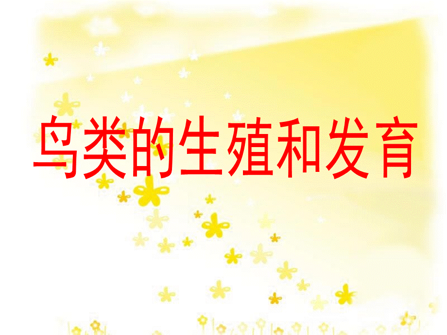 第三节植物光合作用的实质.ppt_第2页