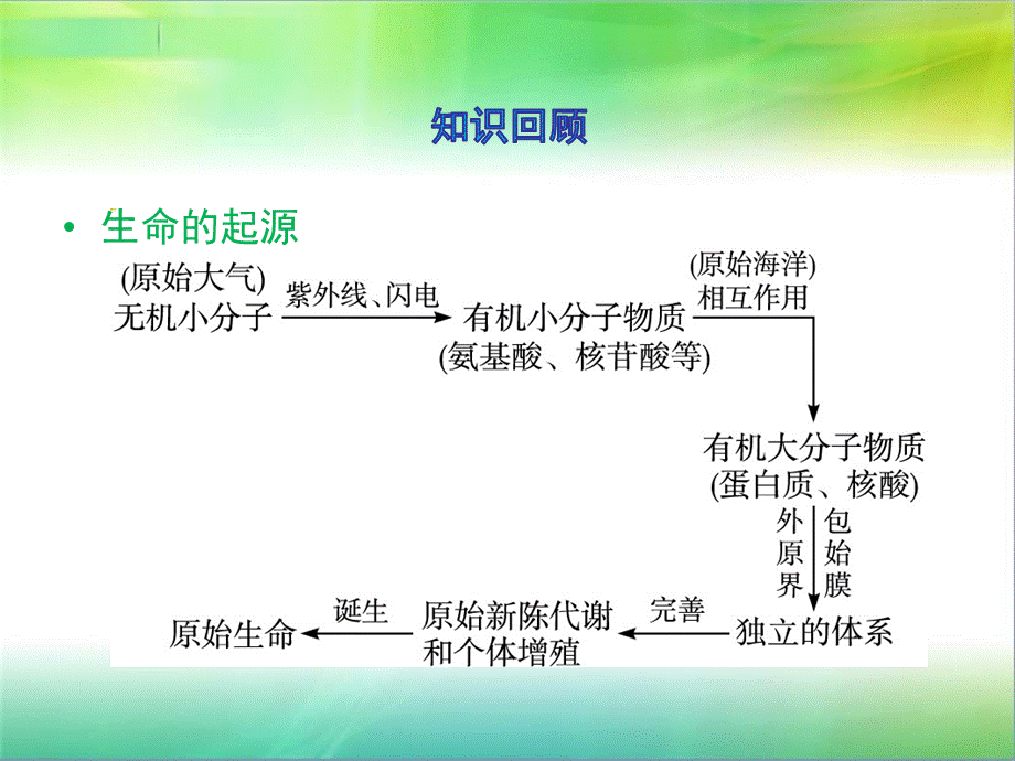 第二节生物的进化.ppt_第2页