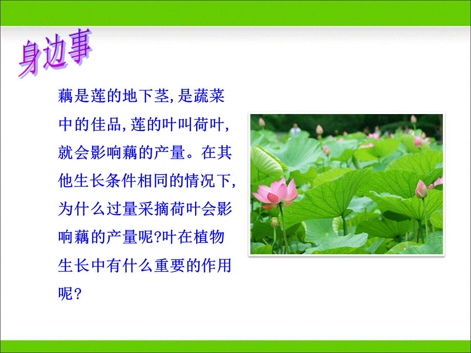 第三节光合作用的场所.ppt_第3页