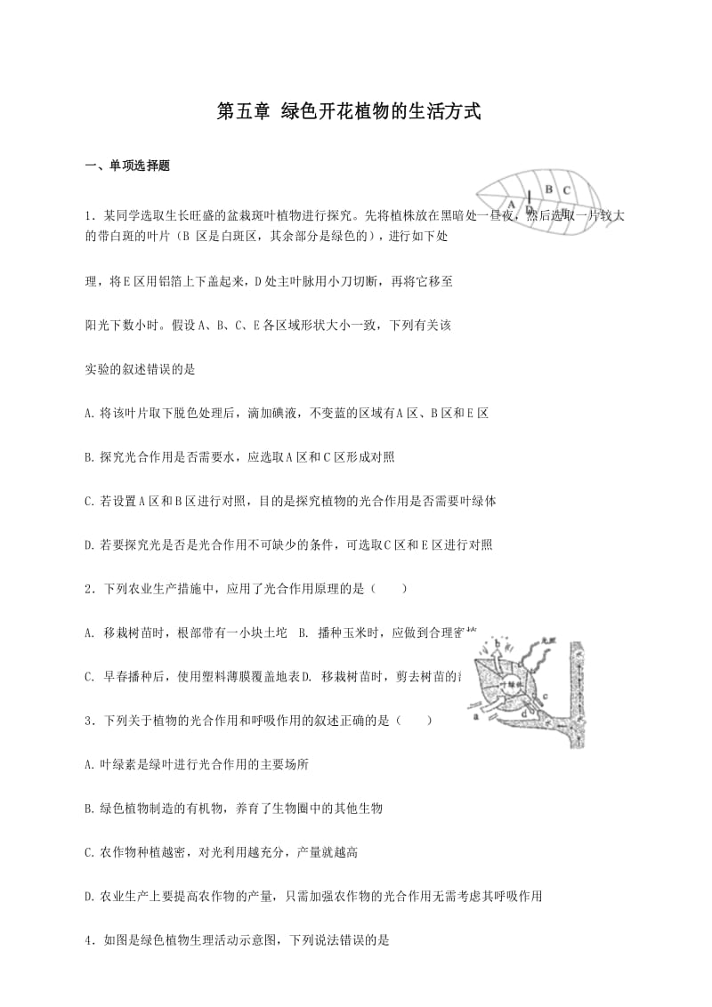 北师大版七年级上册生物 第五章 绿色开花植物的生活方式 复习测试.docx_第1页