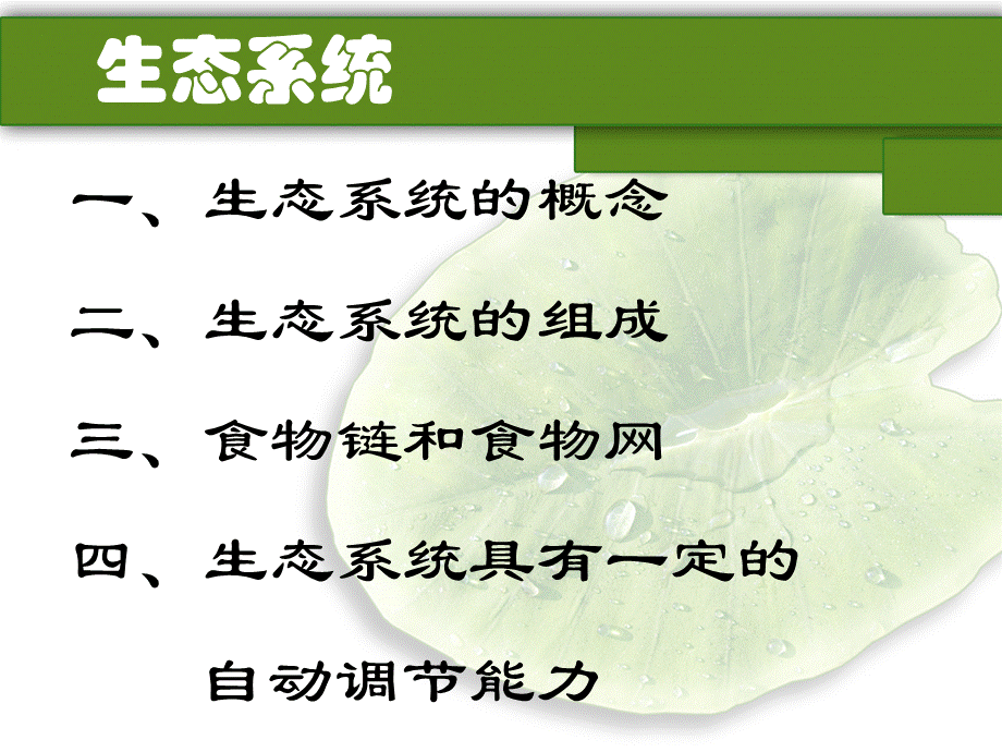 第四节 生态系统 PPT教学课件.ppt_第2页