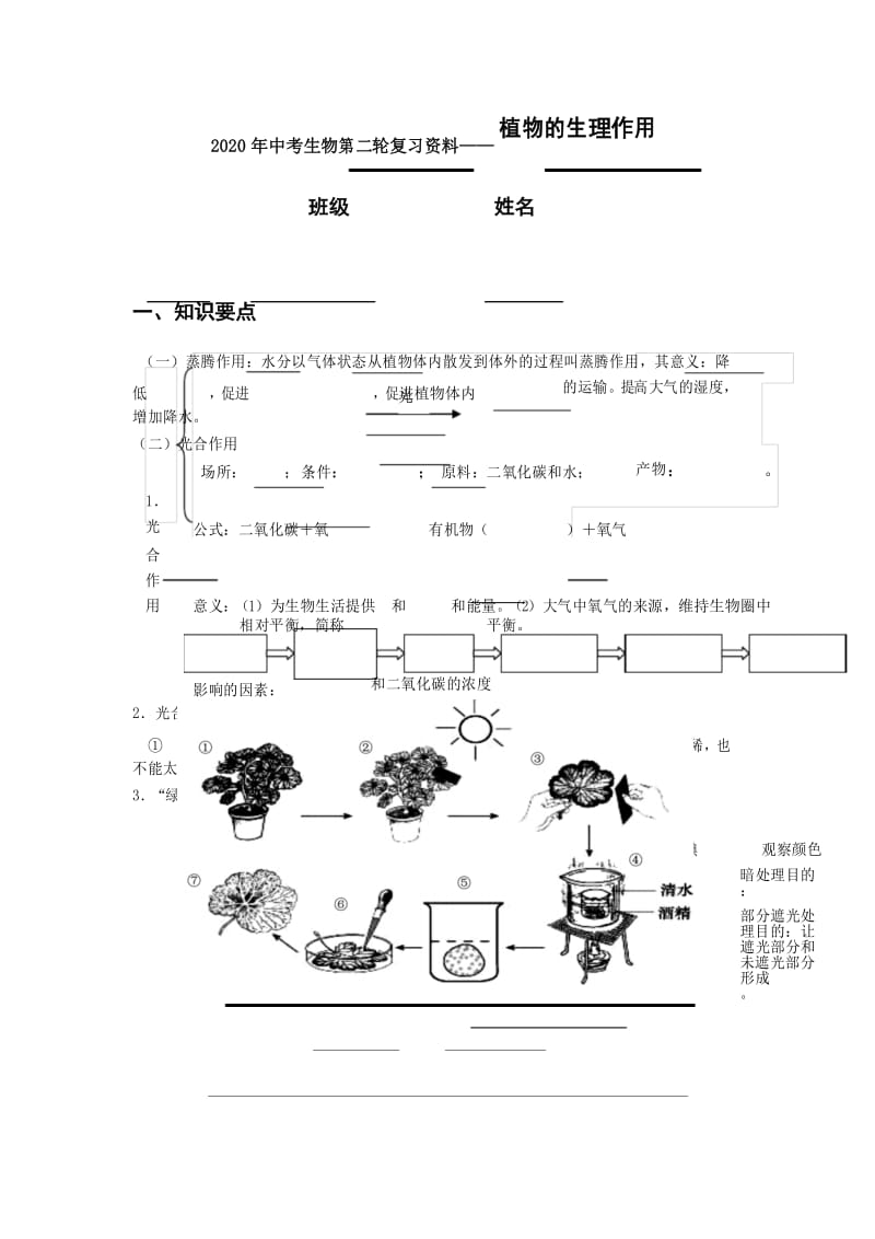 2020年中考生物第二轮复习资料——植物的生理作用.docx_第1页