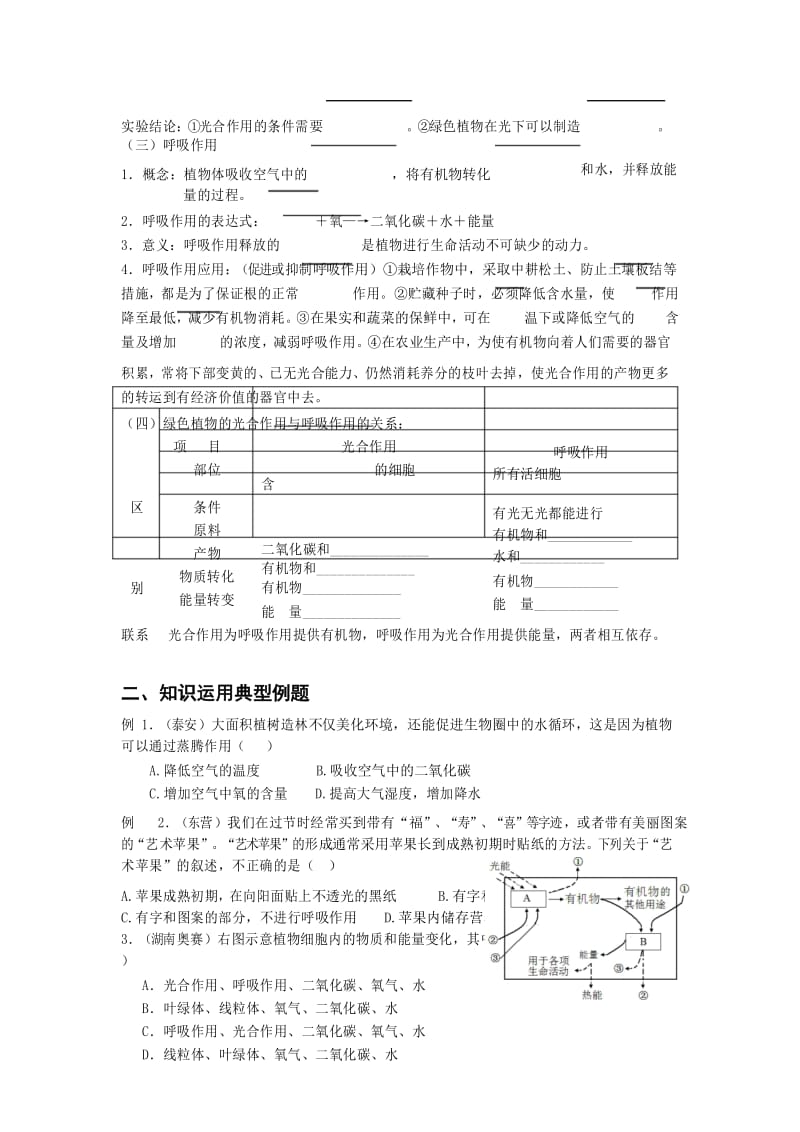 2020年中考生物第二轮复习资料——植物的生理作用.docx_第3页