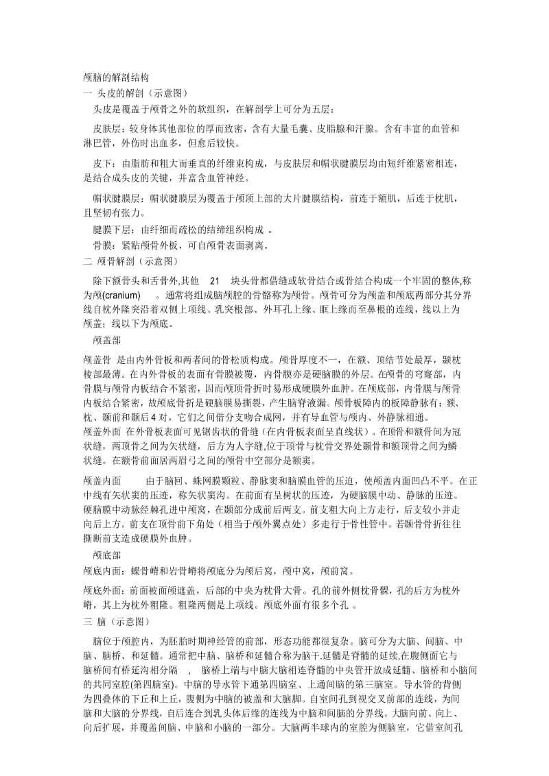 颅脑的解剖.docx_第1页