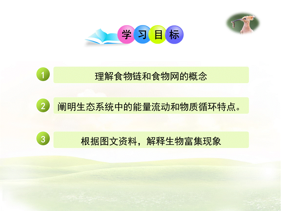 第二节食物链和食物网.ppt_第3页