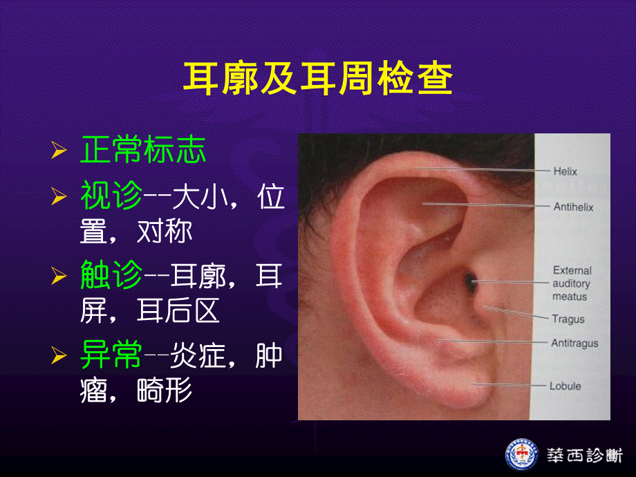 耳鼻咽喉检查.ppt_第2页