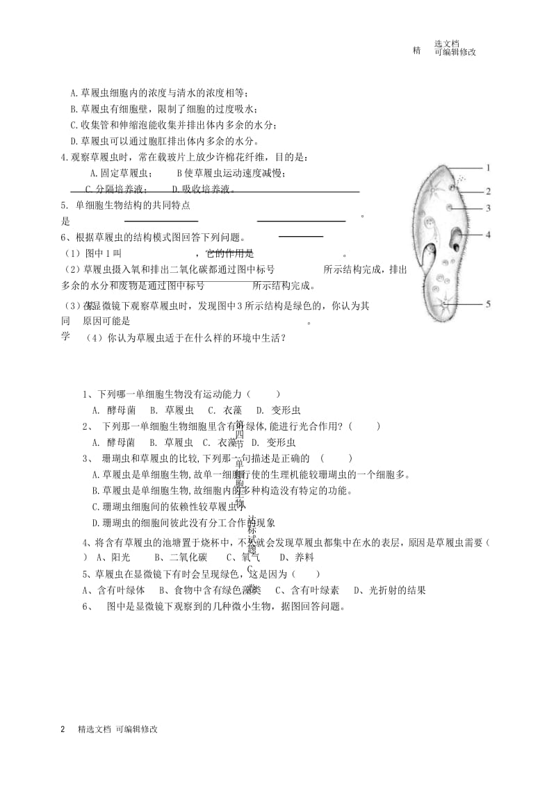 「精选」七年级生物上册2.2.4单细胞生物达标测试卷新版新人教版-精选文档.docx_第3页