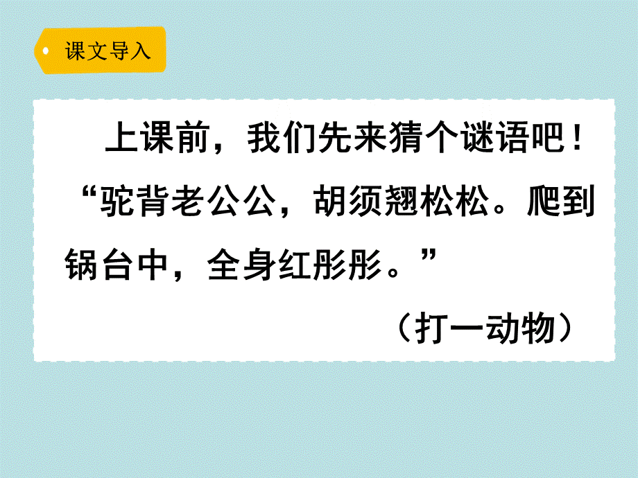 15小虾 (6).ppt_第2页