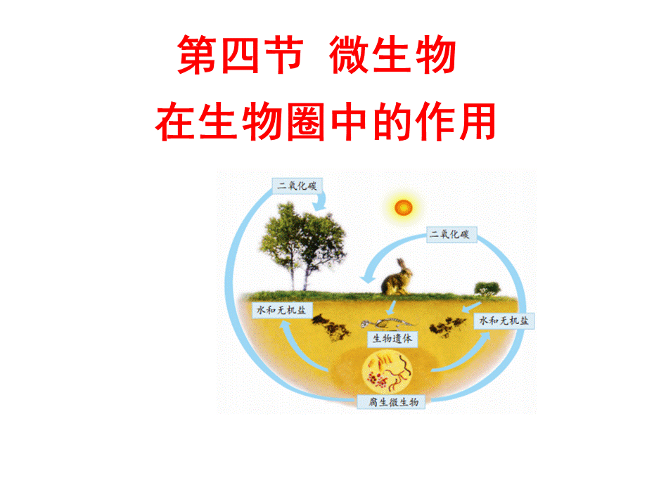 济南版第四节微生物在生物圈中的作用ab.ppt_第1页