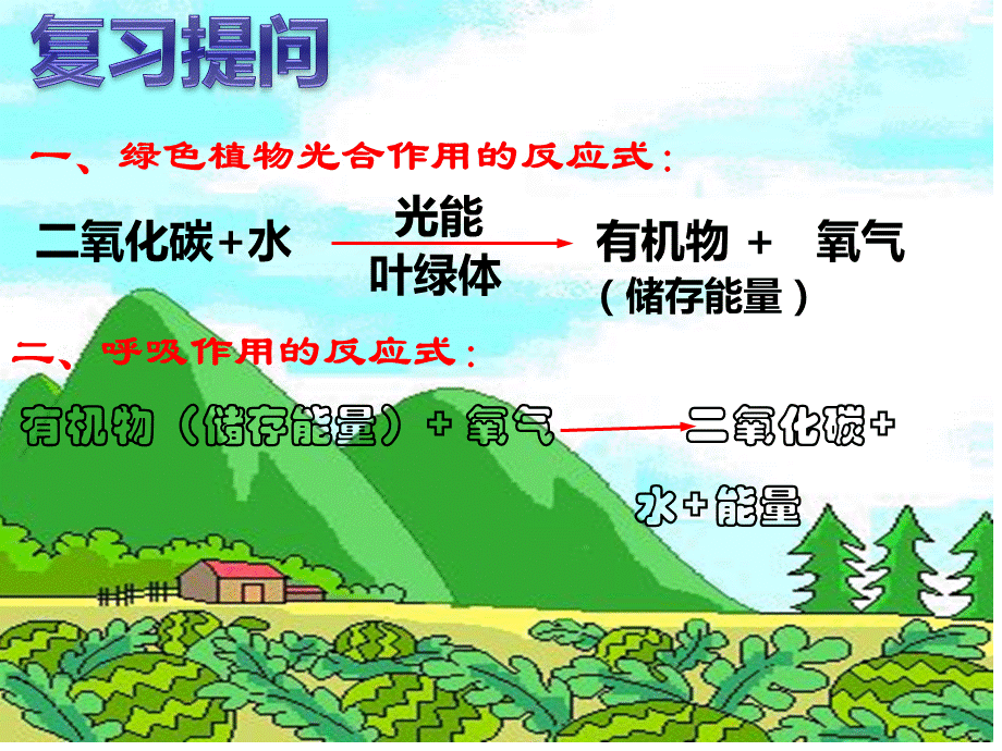 济南版第四节微生物在生物圈中的作用ab.ppt_第2页