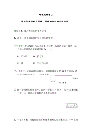 六年级下册数学试题 专项提升卷2青岛版 有答案.docx