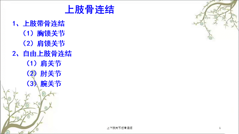 上下肢关节颅骨连结课件.ppt_第1页