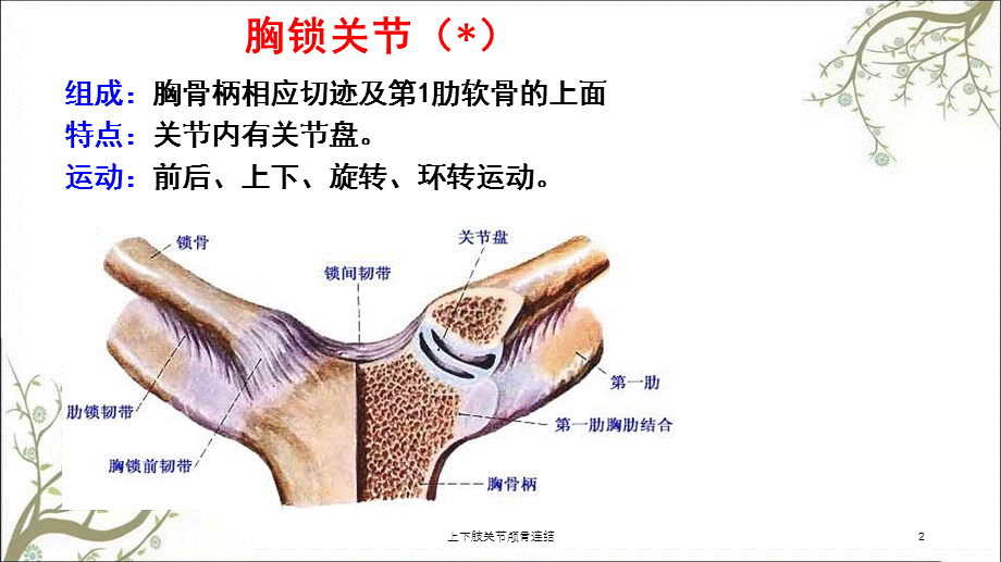 上下肢关节颅骨连结课件.ppt_第2页