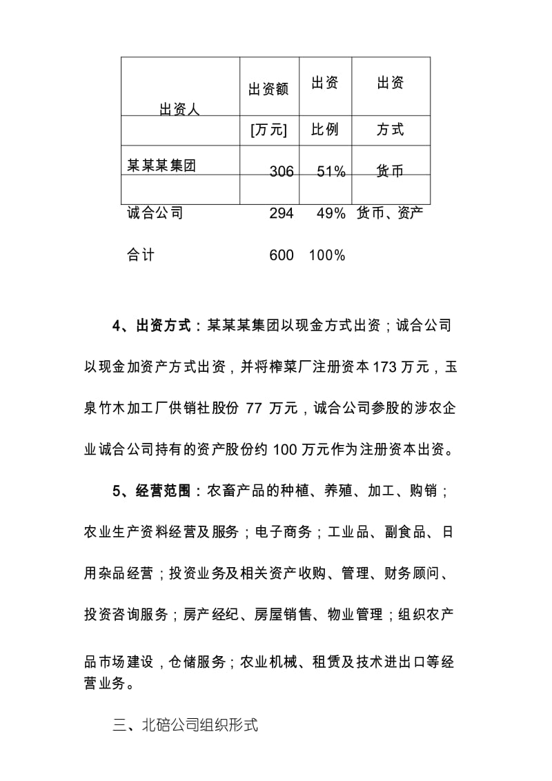 公司组建方案范本.docx_第3页