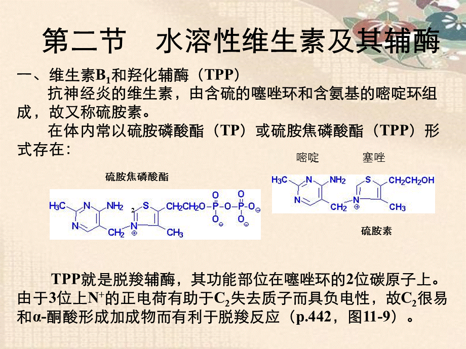 生物化学之维生素与辅酶.ppt_第3页