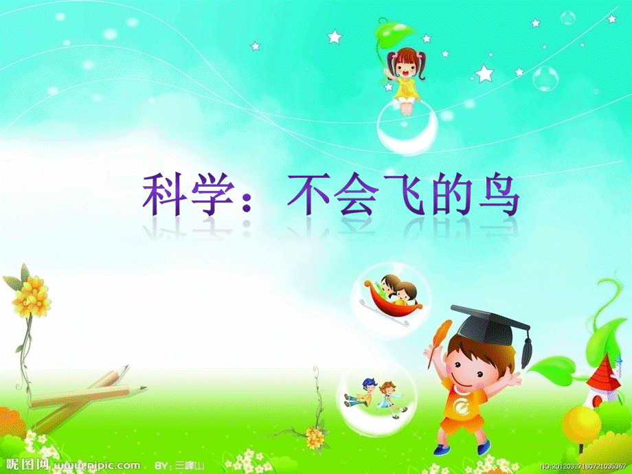 中班科学 不会飞的鸟.ppt_第1页