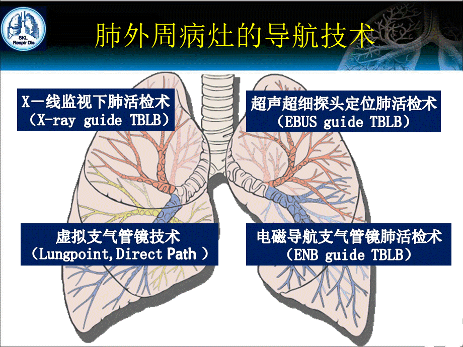 电磁导航支气管镜技术在介入肺脏病的应用.ppt_第2页