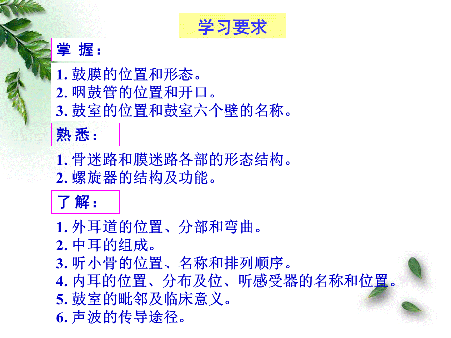 解剖学-感觉器-前庭蜗器(临床专业).ppt_第3页