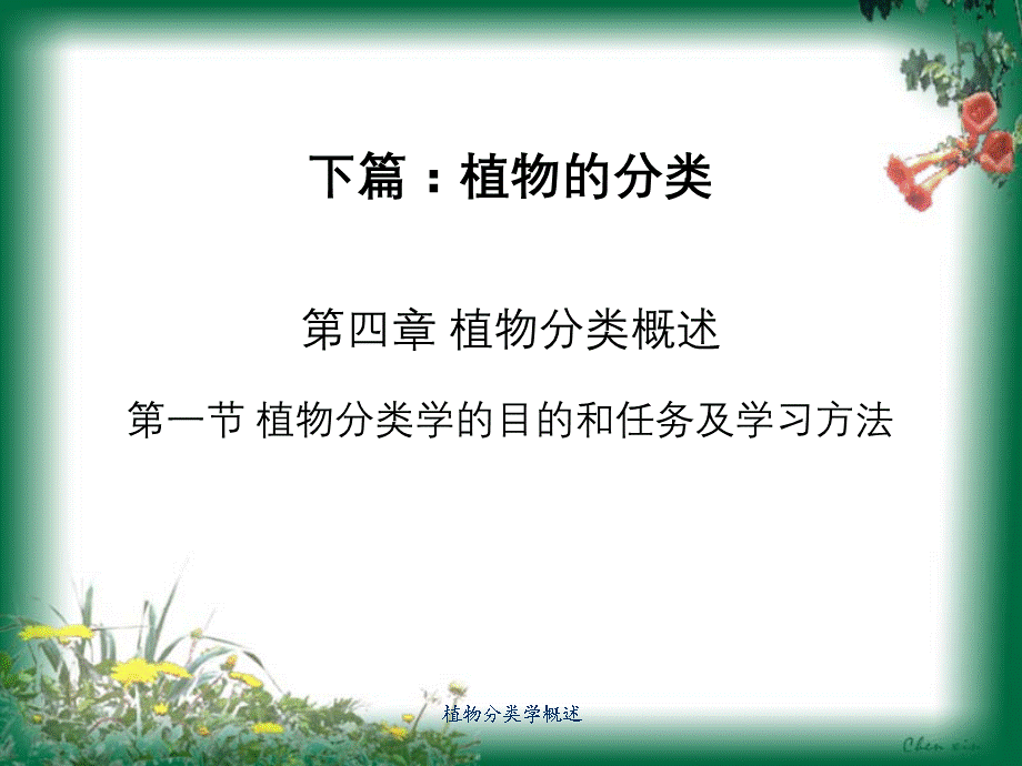 植物分类学概述.ppt_第1页