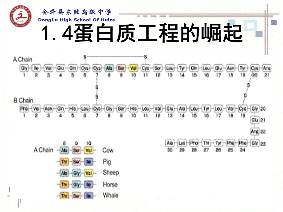 1.4　蛋白质工程的崛起 (3).ppt_第1页