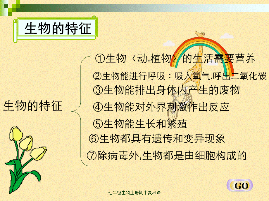 七年级生物上册期中复习课.ppt_第2页