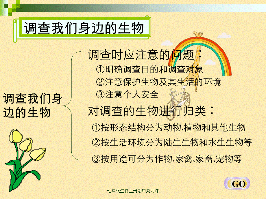 七年级生物上册期中复习课.ppt_第3页