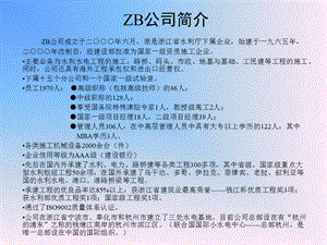 ZB公司战略规划.ppt