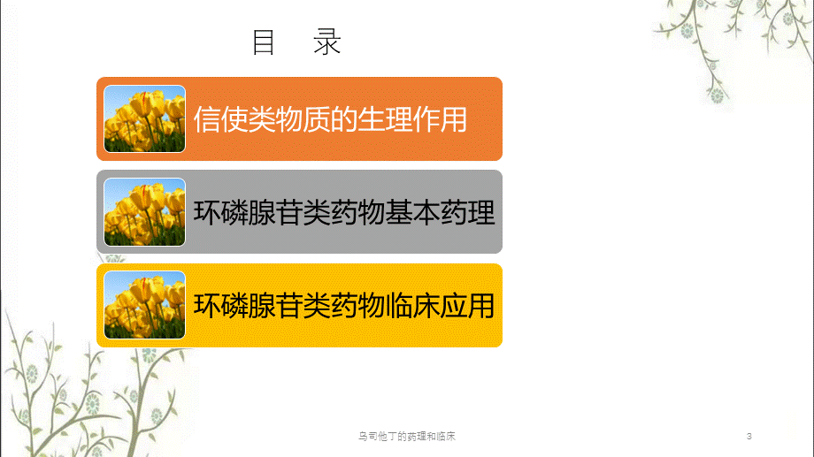 乌司他丁的药理和临床课件.pptx_第3页