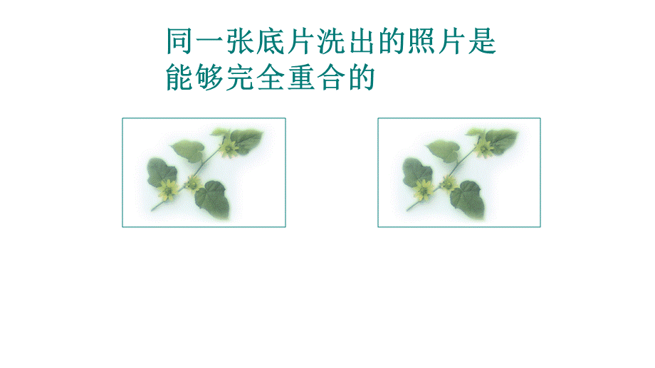 2.5全等三角形 (4).pptx_第2页