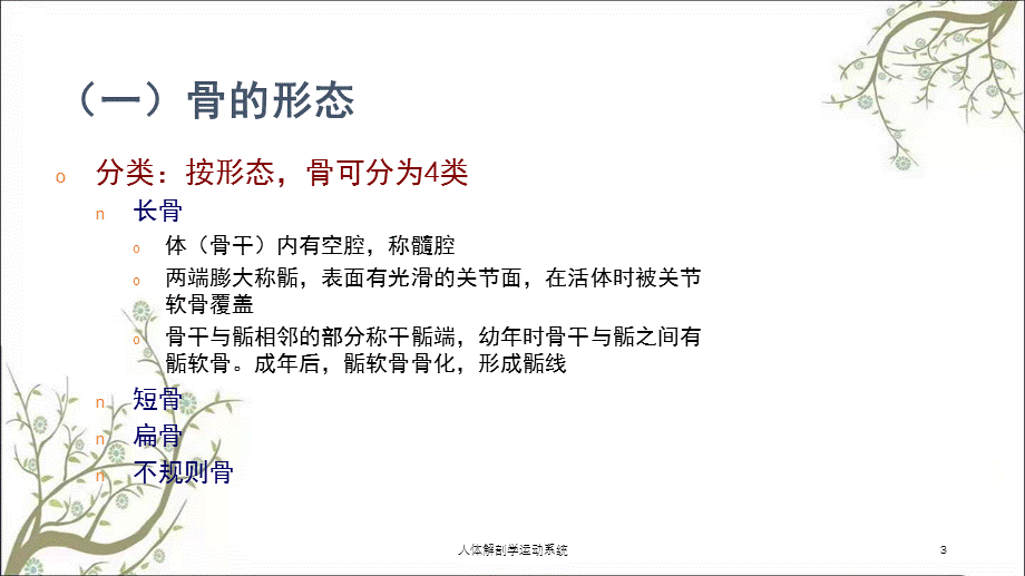 人体解剖学运动系统课件.ppt_第3页