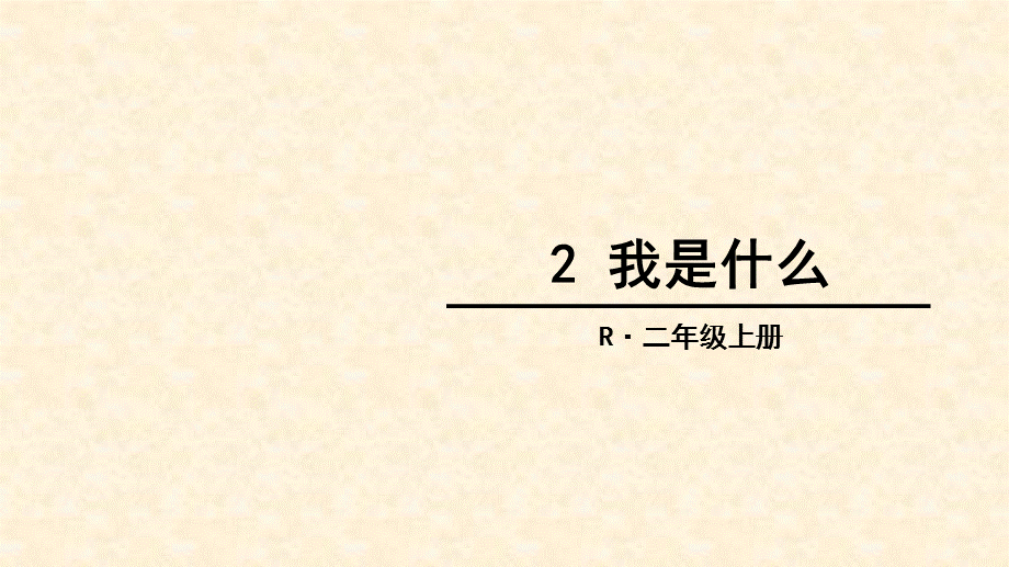 2我是什么 (3).ppt_第3页