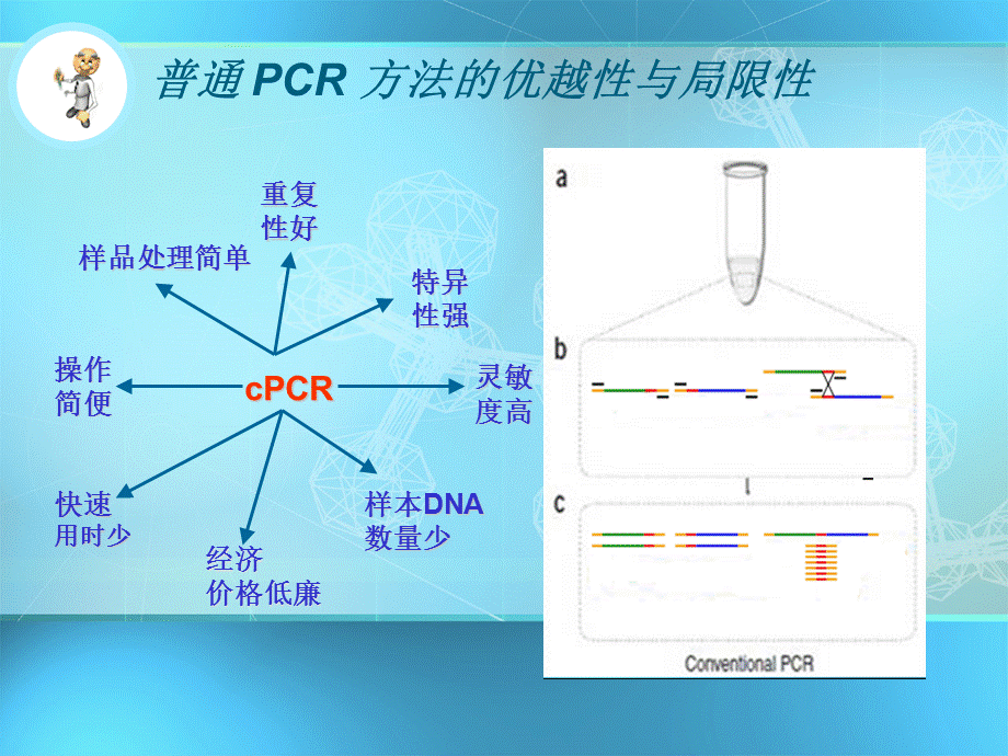 乳液 PCR 法扩增复杂基因序列方法的建立.ppt_第3页